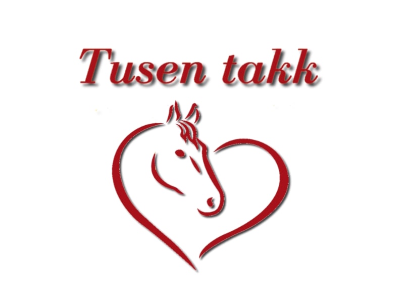 D.O.R. retter herved en stor takk til samtlige som var med å hjelpe til under helgens BRyK vintercup dressur.